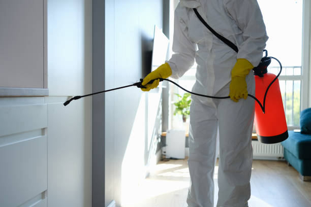 Best HVAC Mold Remediation in Green River, WY