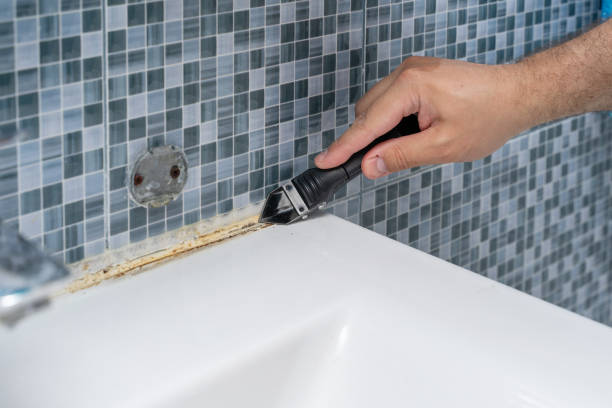 Green River, WY Mold Remediation Company