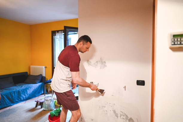 Best Post-Flood Mold Remediation in Green River, WY